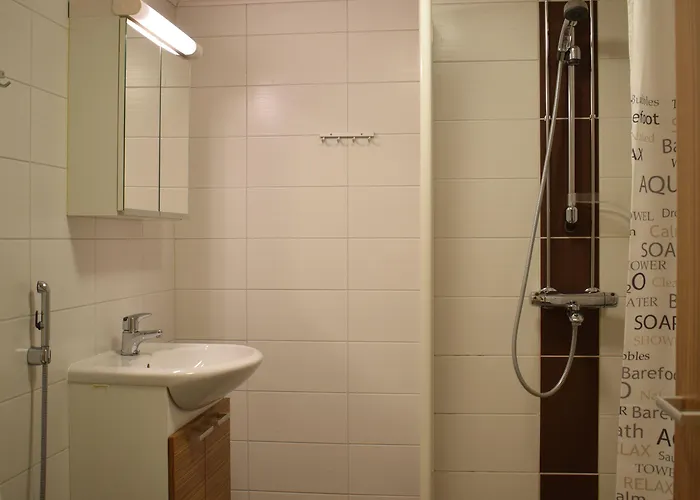 Ξενοδοχείο Summer Vuorilinna Savonlinna